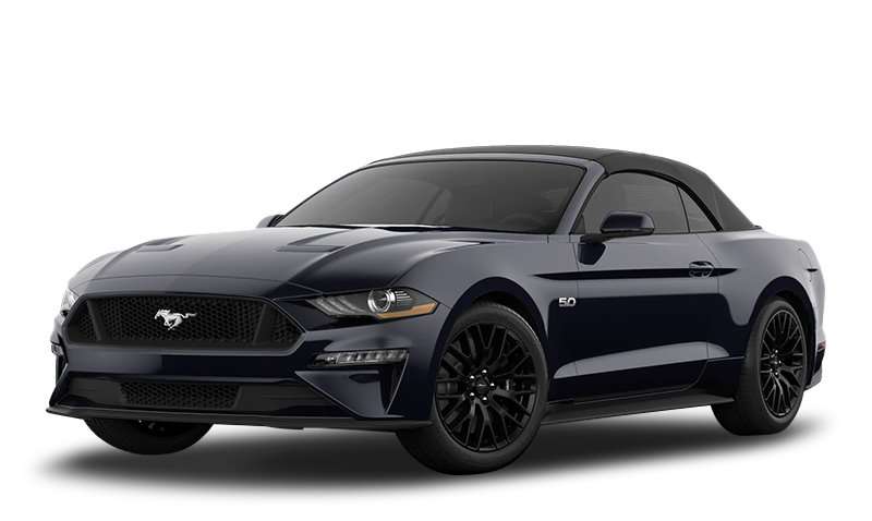 섀도우 익스테리어